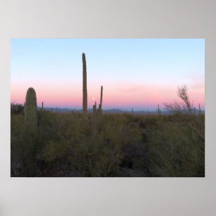 Affiche Lune rose sur Saguaro au lever du soleil