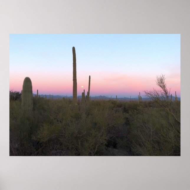 Affiche Lune rose sur Saguaro au lever du soleil (Devant)