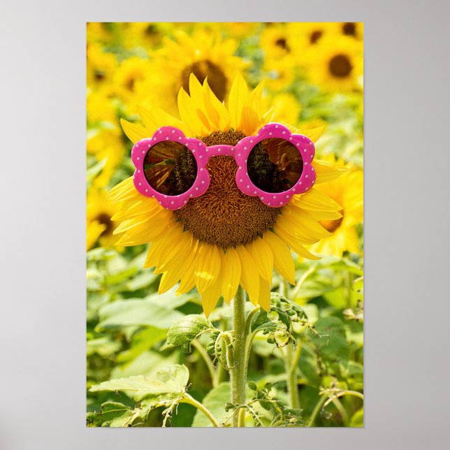 Affiche Lunettes De Soleil Sur Tournesol (Devant)