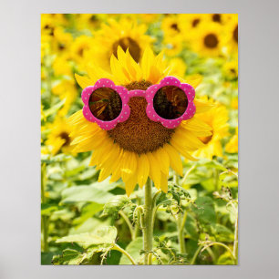 Affiche Lunettes de soleil sur tournesol