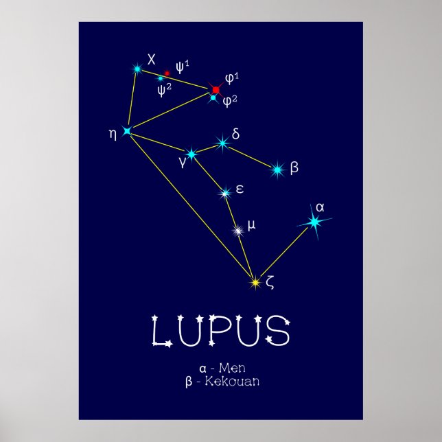 Affiche Lupus de constellation de l'hémisphère sud (Devant)