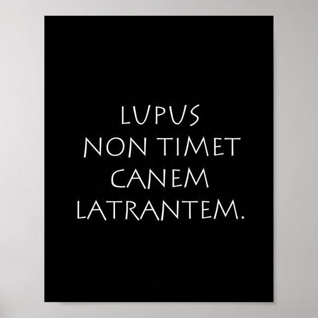 Affiche Lupus non tim canem latrantem (Devant)