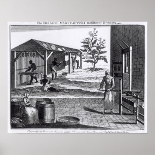 Affiche L'usine de tabac dans différentes branches