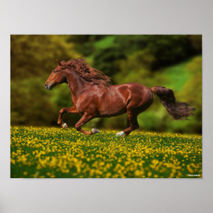 Affiche Lusitano De Châtaignes Courant En Coupes De Beurr