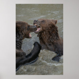 Affiche Lutte contre l'ours
