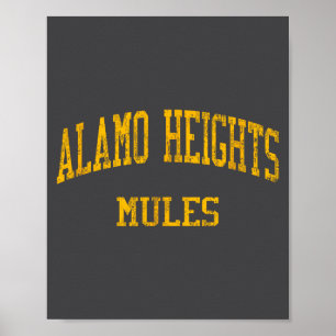 Affiche Lycée Alamo Heights High School Hs San Antonio Tx