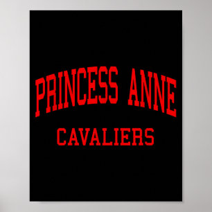 Affiche Lycée Princess anne hs virginia beach va