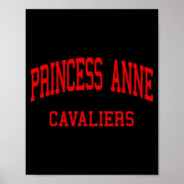 Affiche Lycée Princess anne hs virginia beach va (Devant)