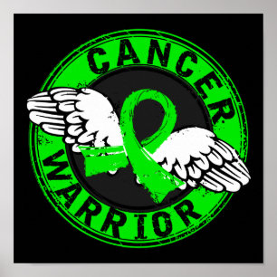 Affiche Lymphome non Hodgkinien du guerrier 14c