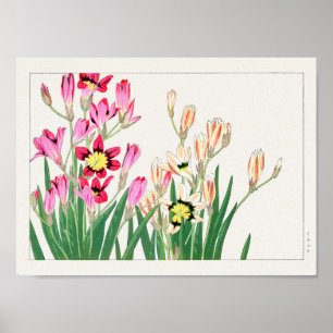 Affiche Lys de maïs africain par Tanigami Konan