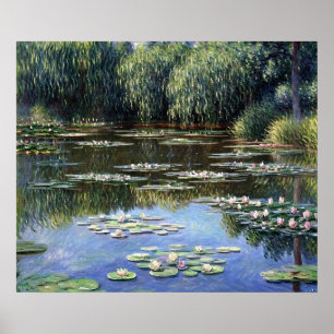 Affiche Lys d'eau (2)