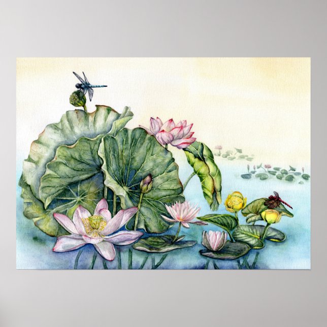Affiche Lys d'eau japonais et fleurs de Lotus (Devant)