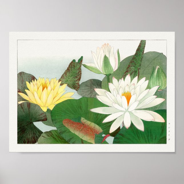 Affiche Lys d'eau par Tanigami Konan (Devant)