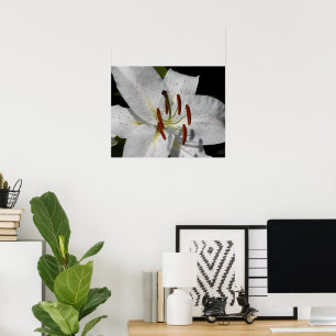 Affiche Lys Oriental Blanc Floral Photographique