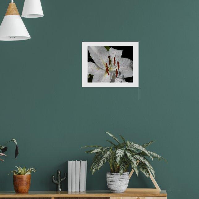 Affiche Lys Oriental Blanc Floral Photographique (Salon 1)
