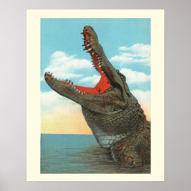 Affiche M. Alligator (Devant)