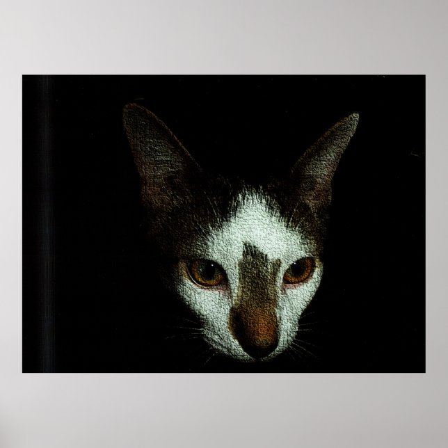 Affiche M. Bud au repos (Devant)
