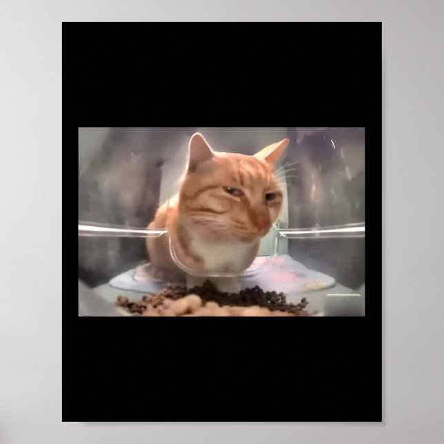 Affiche M. Fresh Chat Mème Côté Oeil Cat (Devant)