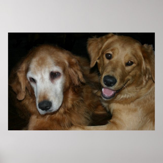 AFFICHE M & H 2 (Devant)