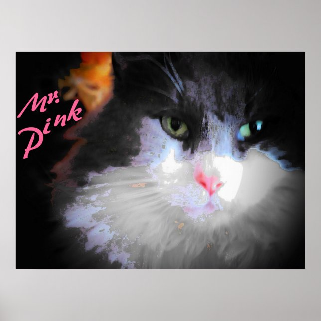 Affiche M. Pink par djoneill (Devant)