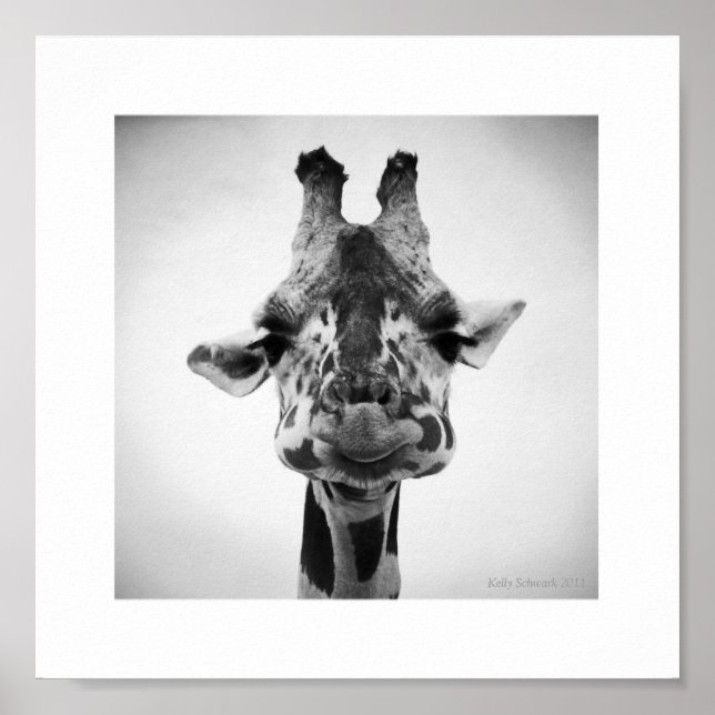 Affiche M. Serious Giraffe Photographie noir et blanc (Devant)
