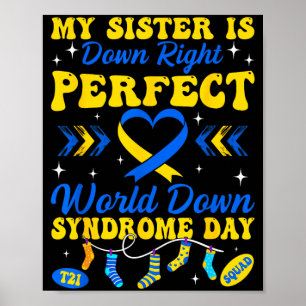 Affiche Ma sœur est en bas à droite monde parfait syndrome