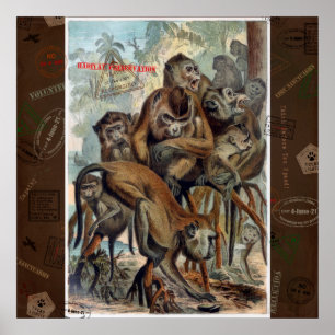 Affiche Macaques pour le voyage responsable