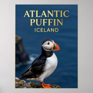 Affiche 🐧 Macareux moine Oiseau côtier d'Islande