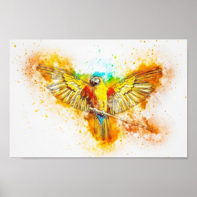 Affiche Macaw (Devant)