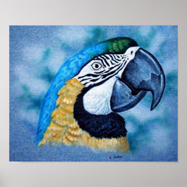 Affiche Macaw (Devant)