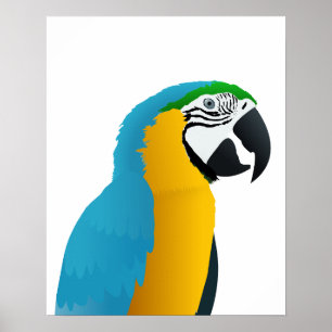 Affiche Macaw bleu et jaune