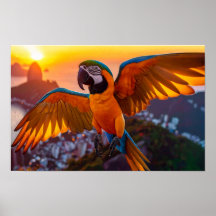 Macaw sur l'affiche horizontale de Rio de Janeiro