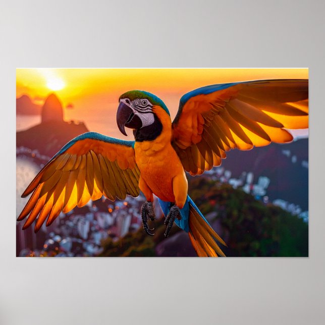 Affiche Macaw sur l'affiche horizontale de Rio de Janeiro (Devant)