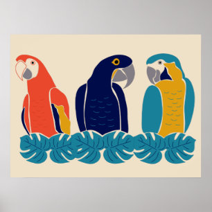 Affiche Macaws tropicaux, illustrations d'oiseaux