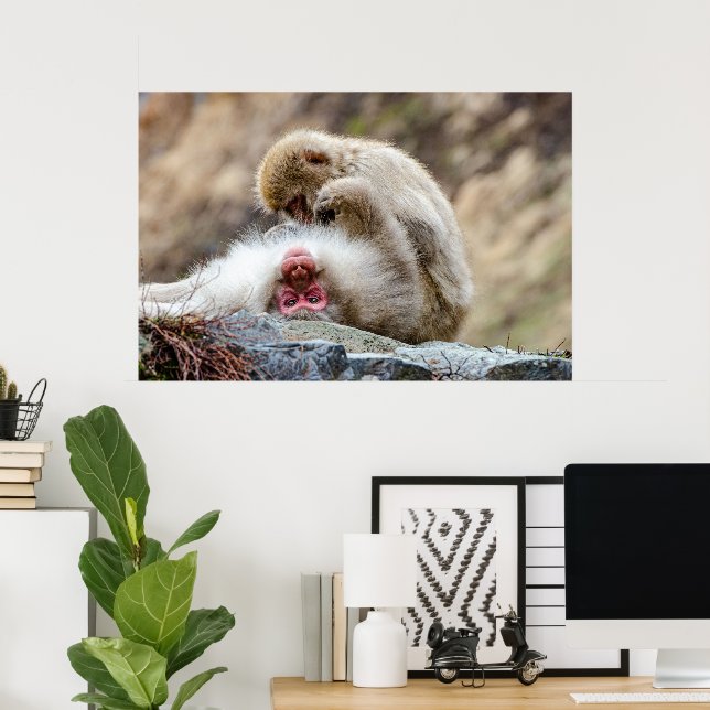 Affiche Macque Monkey, La Bonne Vie (Bureau à domicile)