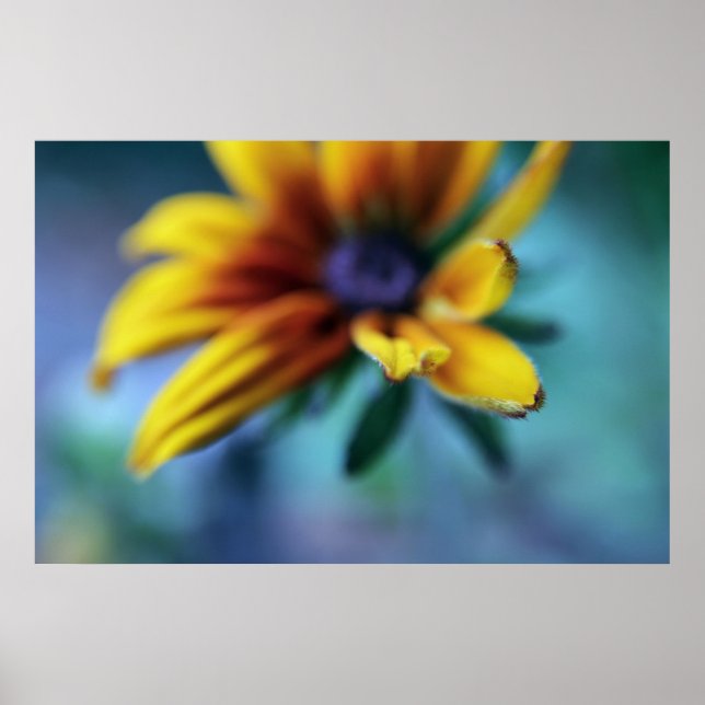 Affiche Macro Abstrait à fleurs de Rudbeckia jaune (Devant)