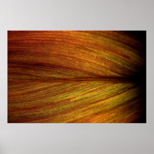 Affiche Macro botanique feuille nature texture