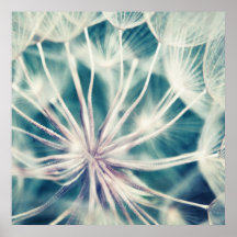 Macro Dandalion Ethérée Bleue