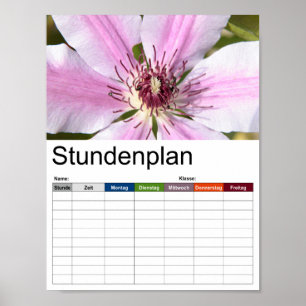 Affiche Macro de Clematis blanc et violet