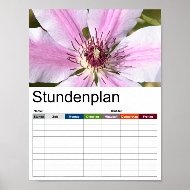 Affiche Macro de Clematis blanc et violet (Devant)