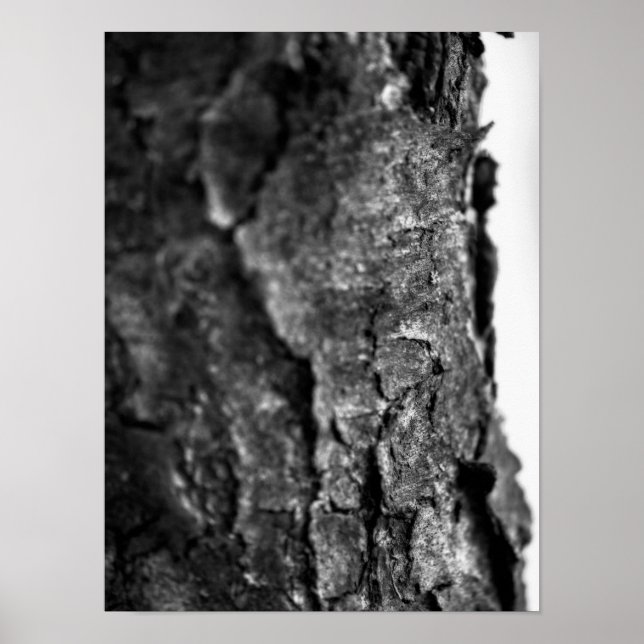 Affiche Macro d'écorce d'arbre noir et blanc (Devant)