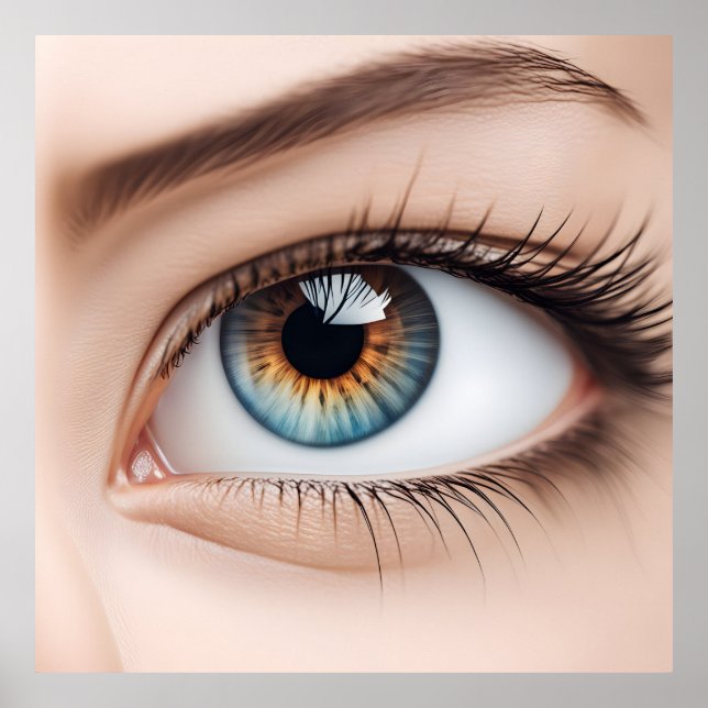 Affiche Macro oeil femelle (Devant)