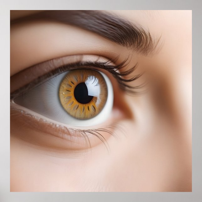Affiche Macro oeil femelle (Devant)