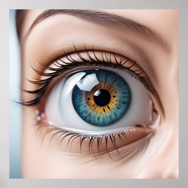 Affiche Macro oeil femelle (Devant)