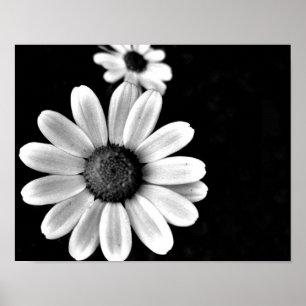 Affiche macro vibrante noir et blanc photo floral