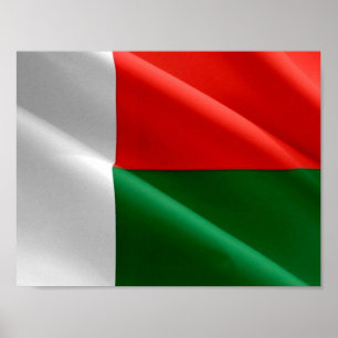 Affiche Madagascar - Drapeau d'agitation -