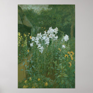 Affiche Madonna Lilies dans un jardin