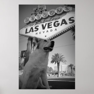 Affiche Maggie - Las Vegas Sign