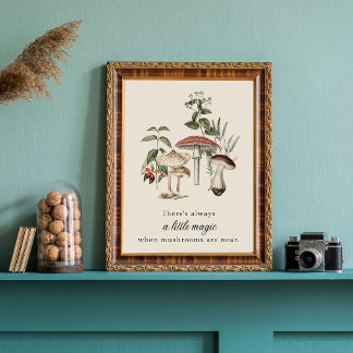 Affiche Magie des champignons