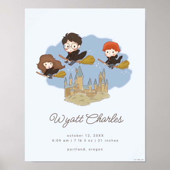 Affiche Magique Harry Potter & Hogwarts statistiques de na (Devant)